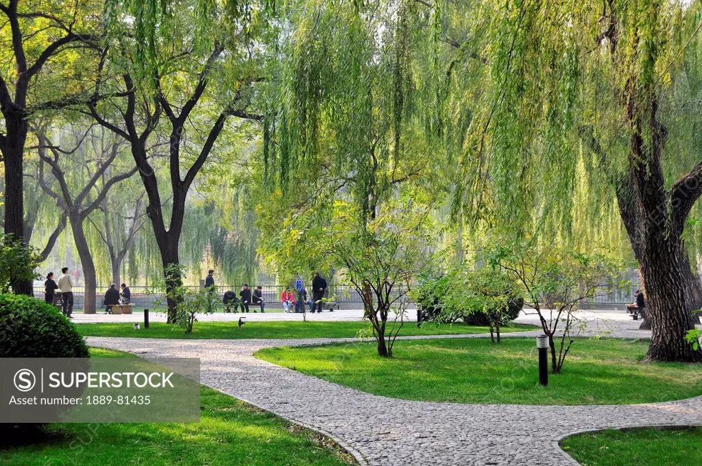 Paths around the trees in a park with people sitting on benches at the water´s edge, beijing china