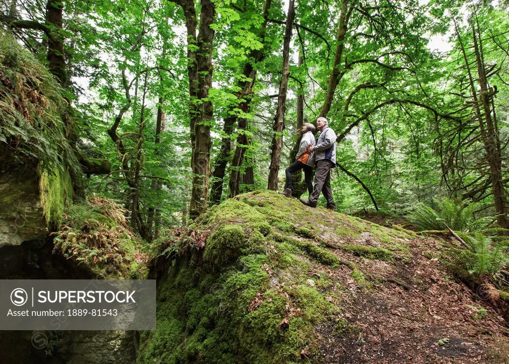 A senior couple hiking in the forest on mount tzouhalem in the cowichan valley, british columbia canada