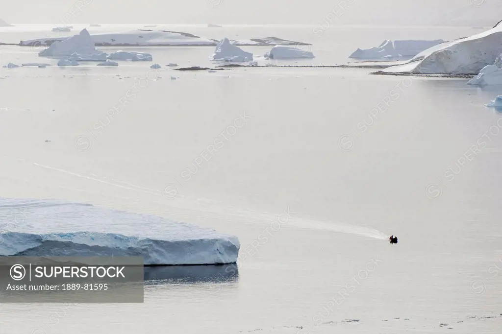 Icebergs in the water, antarctica