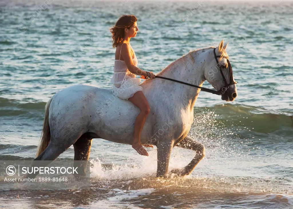 A woman riding a white horse at sunset by the ocean, tarifa cadiz andalusia spain