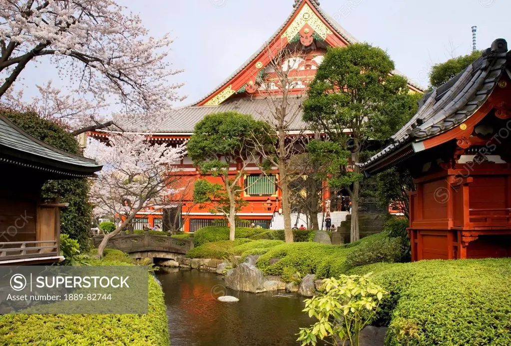 Japanese temple garden with stream and stone bridge, tokyo, japan