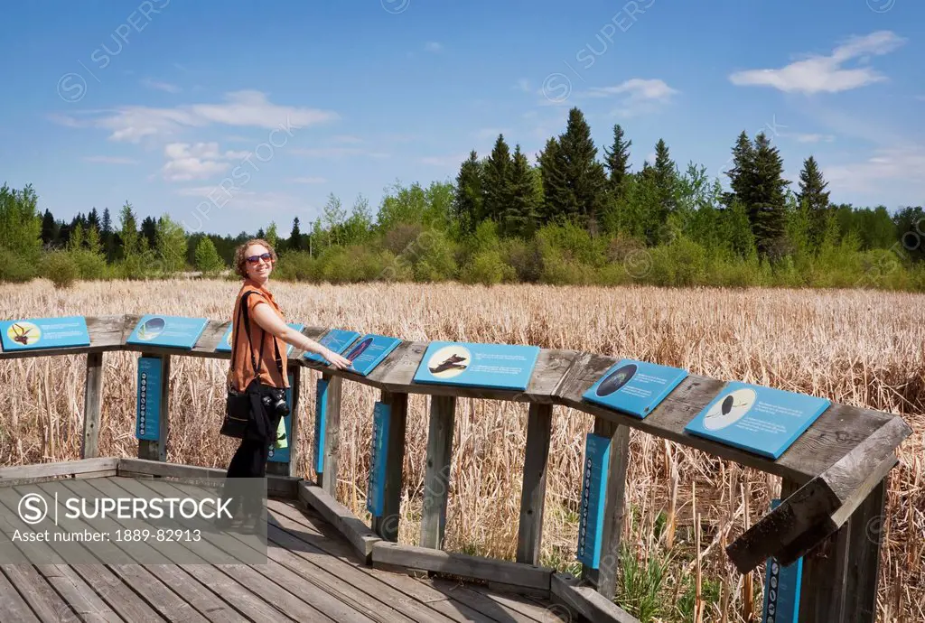 Woman on a boardwalk reading plaques by a marsh at elk island, national park, alberta, canada