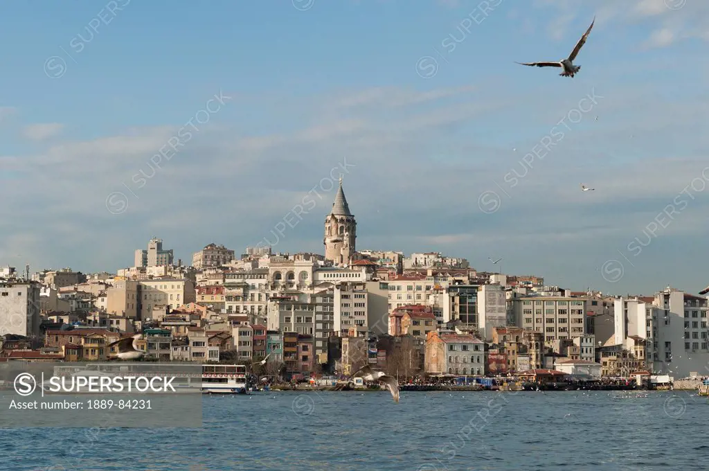 A Bird In Flight Over The Water And A View Of Boats In The Waterfront, Istanbul Turkey