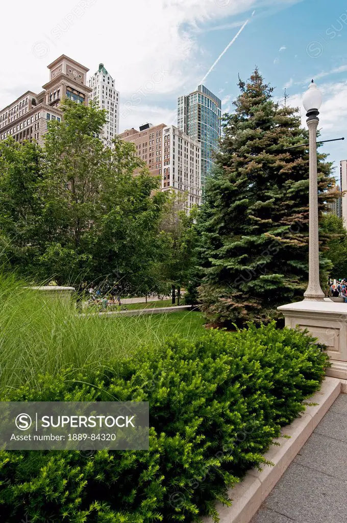 Trees And Landscaping Along A Path With Skyscrapers In The Background, Chicago Illinois United States Of America