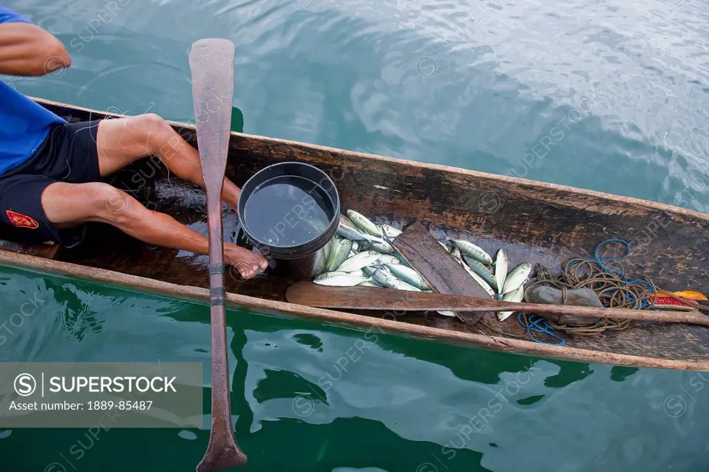 High angle view of a man in a boat with bait fish, panama