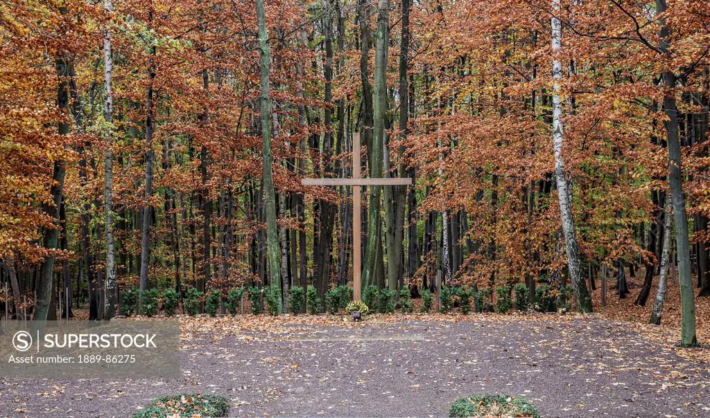 Germany, Buchenwald Concentration Camp; Buchenwald, Wooden cross at memorial site