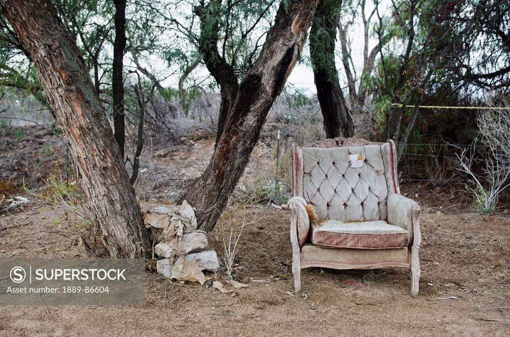Mexico, Aguascalientes State, Old Chair Next To Tree; Aguascalientes