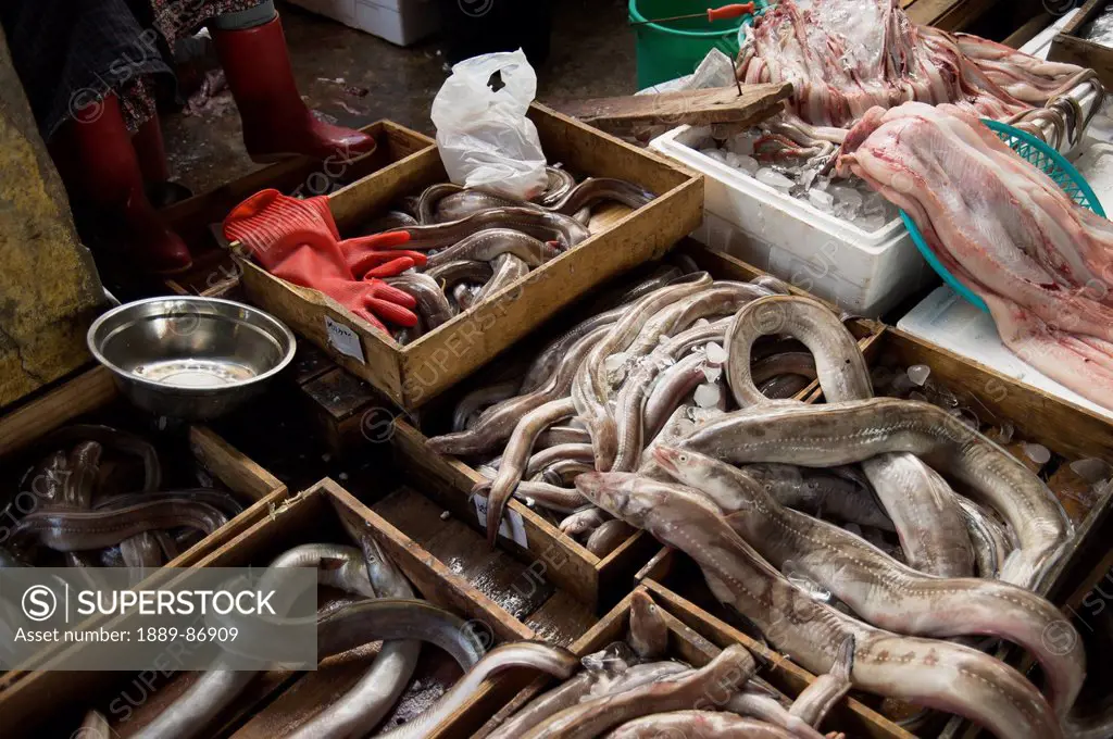 South Korea, Various Seafood In Wooden Crates At Fish Market; Pusan