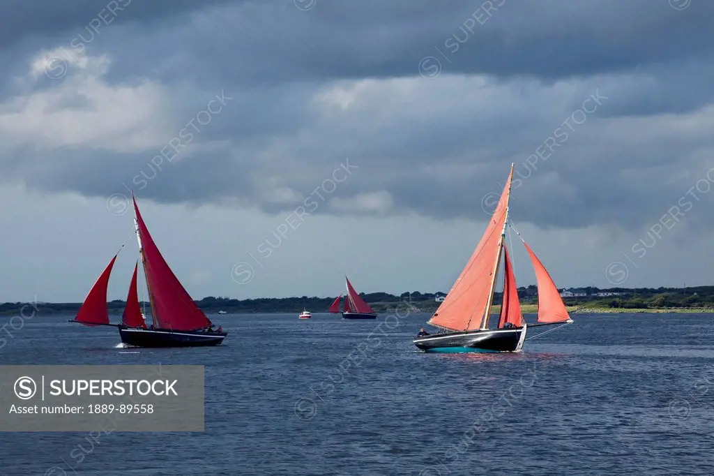 Sailboats in the water for the galway hooker racing;Kinvara county galway ireland