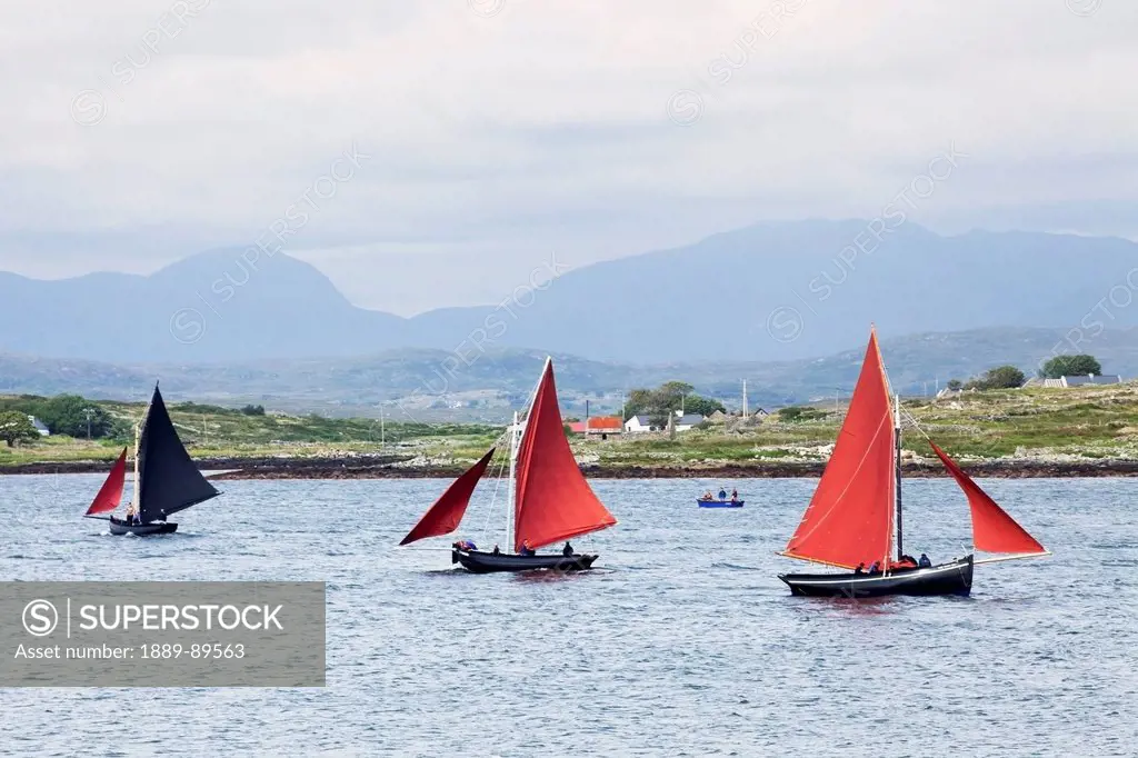 Sailboats in the roundstone regatta;Roundstone county galway ireland