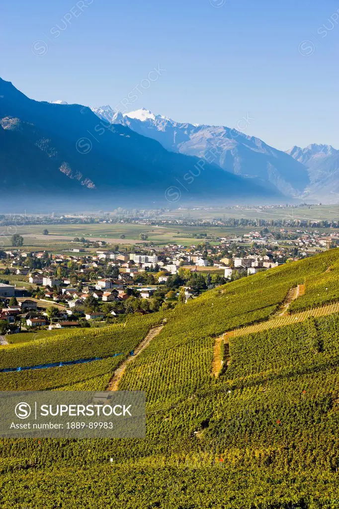 Vineyards and village; Vetroz, Valais, Switzerland