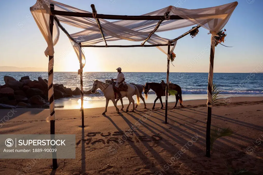 Horse vendor ends his day at beach where destination wedding was held; Puerto Vallarta, Mexico