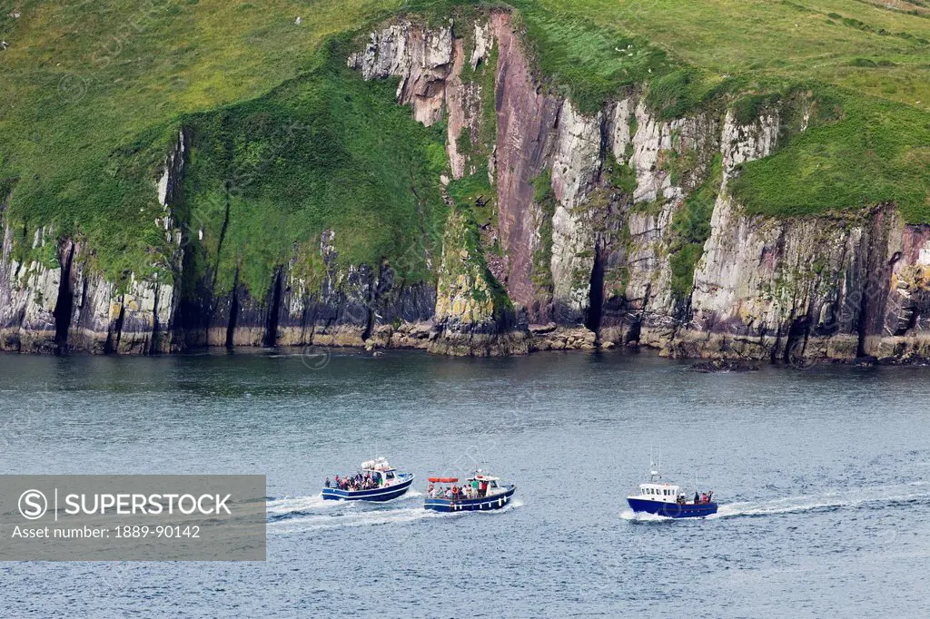 Boats searching for fungi in the entrance to dingle harbour;Dingle county kerry ireland