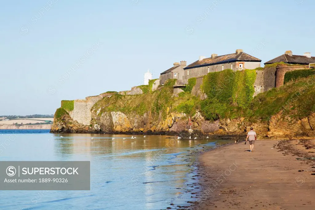 A man walking on a beach and birds swimming in the water;Duncannon county wexford ireland