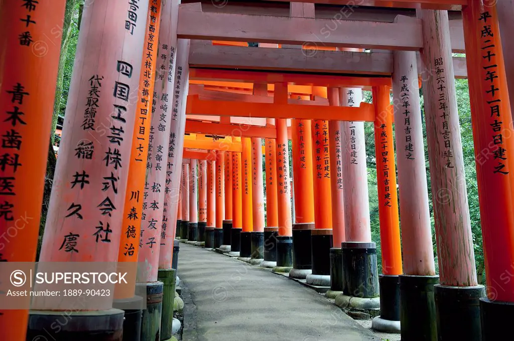 Japan, Red columns along pathway; Kyoto