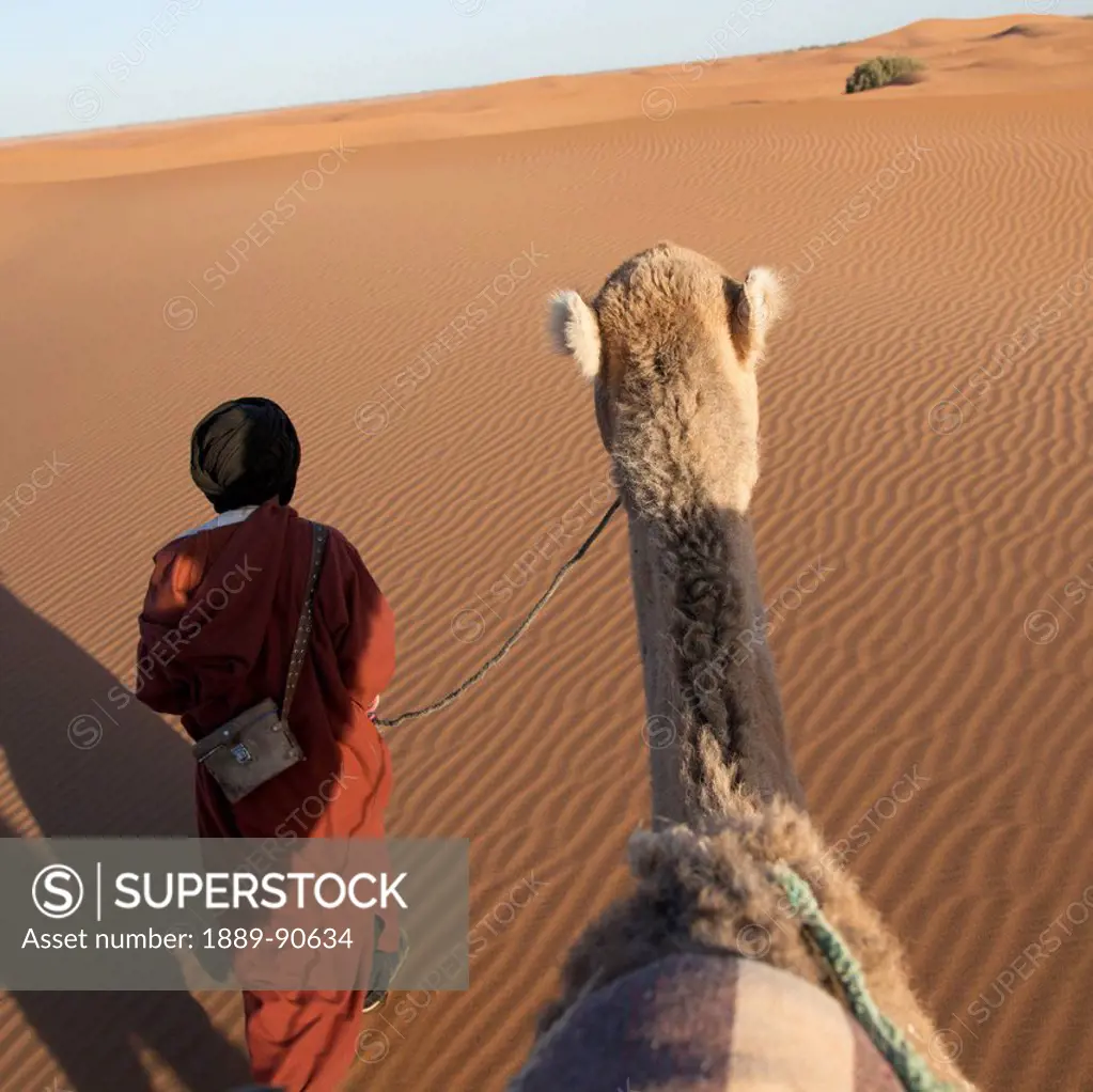 A man leads his camel over the Erg Chegaga Dunes; Morocco