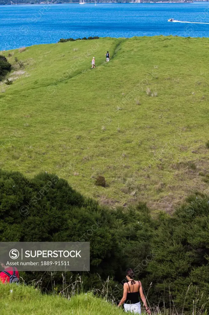 Young Adults Walking On The Lush Landscape Of Urupukapuka Island; New Zealand