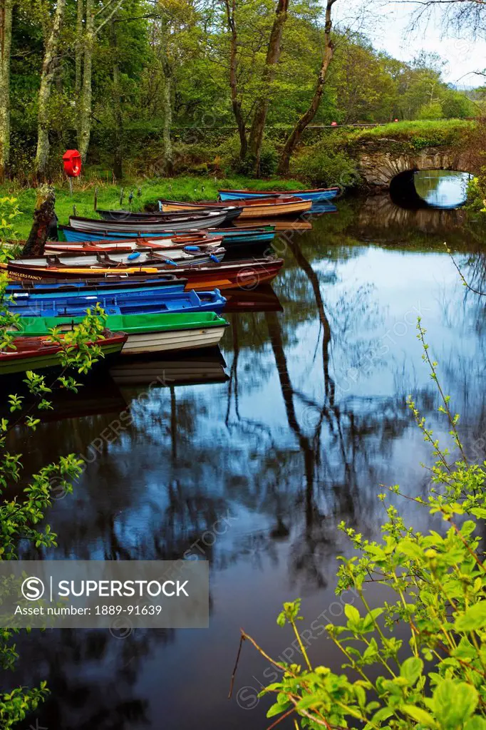 Canoes In Various Colours Lined Up Along The Shore; Ireland
