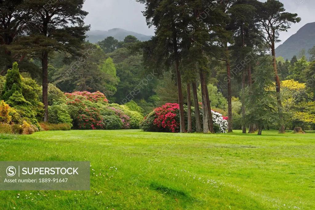 Muckross House Gardens In Killarney National Park; County Kerry, Ireland