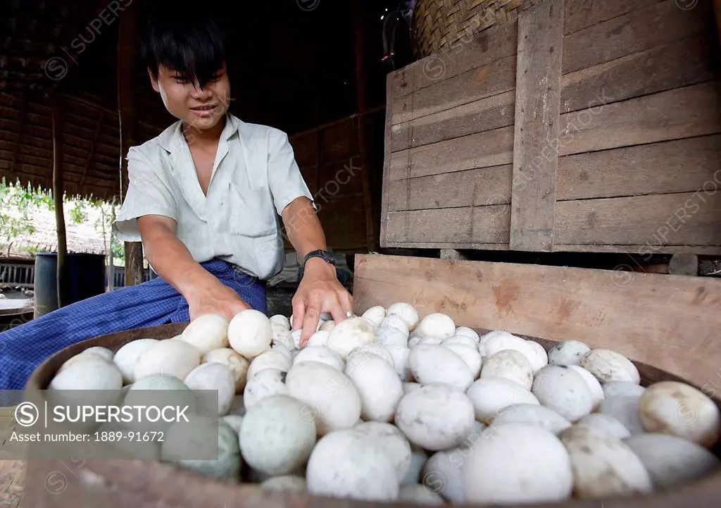 Farmers In Bago, Close To Yangon, Check Duck Eggs; Yangon, Burma