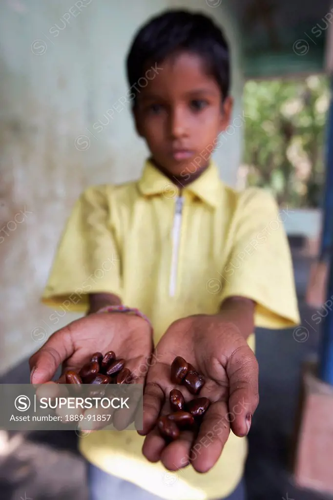 A young boy holds tamarind seeds in his hands for a game; Katakpada Village, India