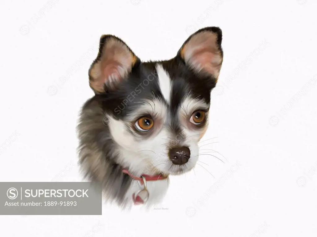 Computer Generated Portrait Of A Dog