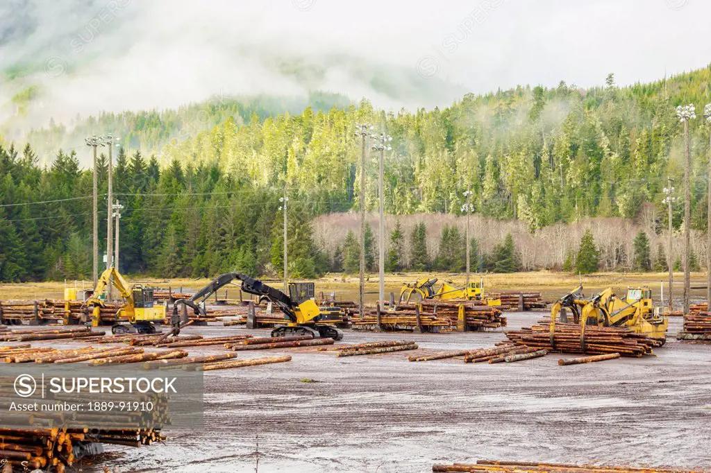 Logs are moved to the water log sort in a logging yard; Telegraph Cove, British Columbia, Canada