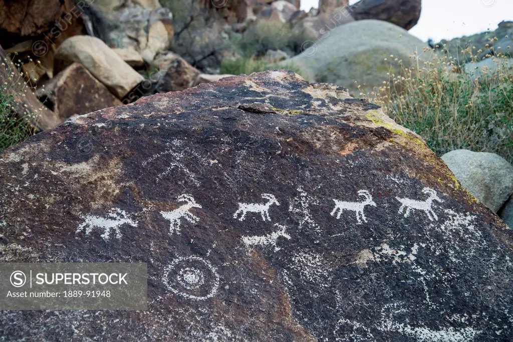 Prehistoric Rock Art, Grapevine Canyon; Nevada, United States Of America