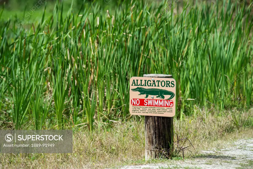 Alligator Warning Sign At Tosohatchee Wildlife Management Area; Florida, United States Of America