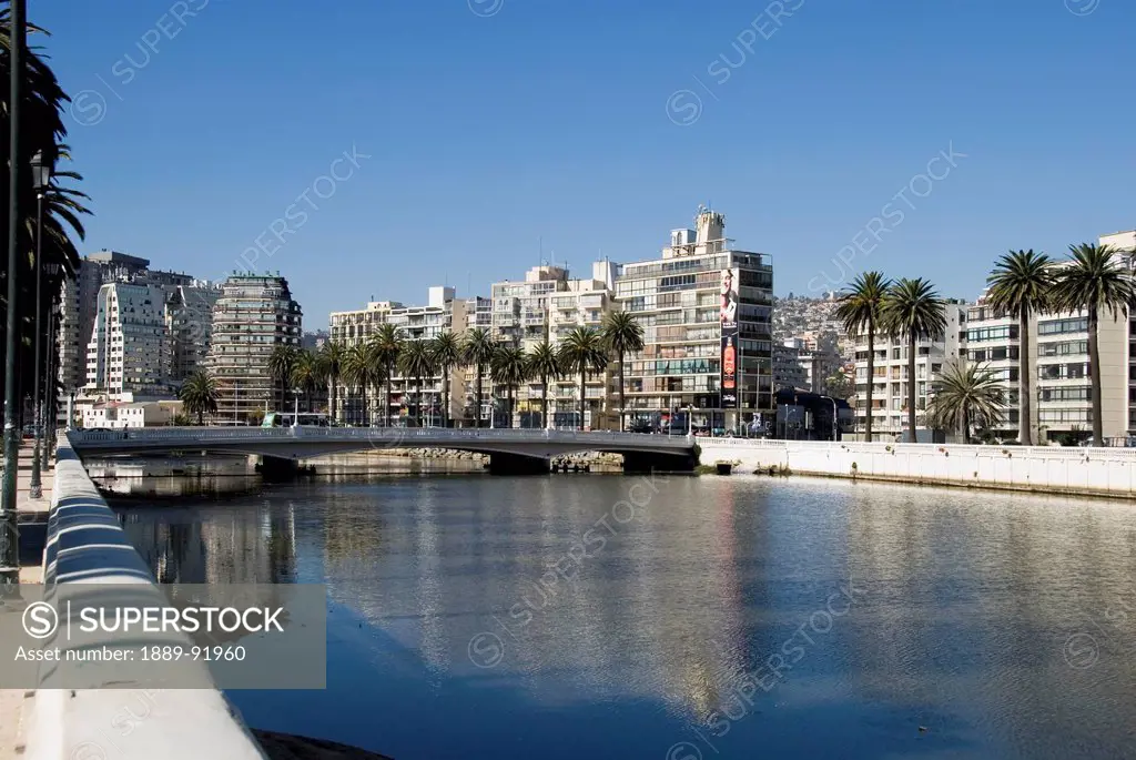 River, Buildings And Palm Trees; Vina Del Mar, Chile