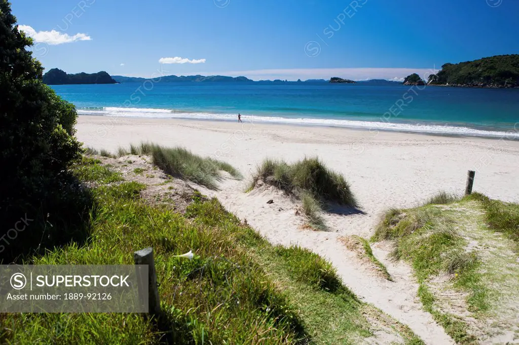 The Coastal Beaches Of The Corremandal Peninsula; Hahei, New Zealand