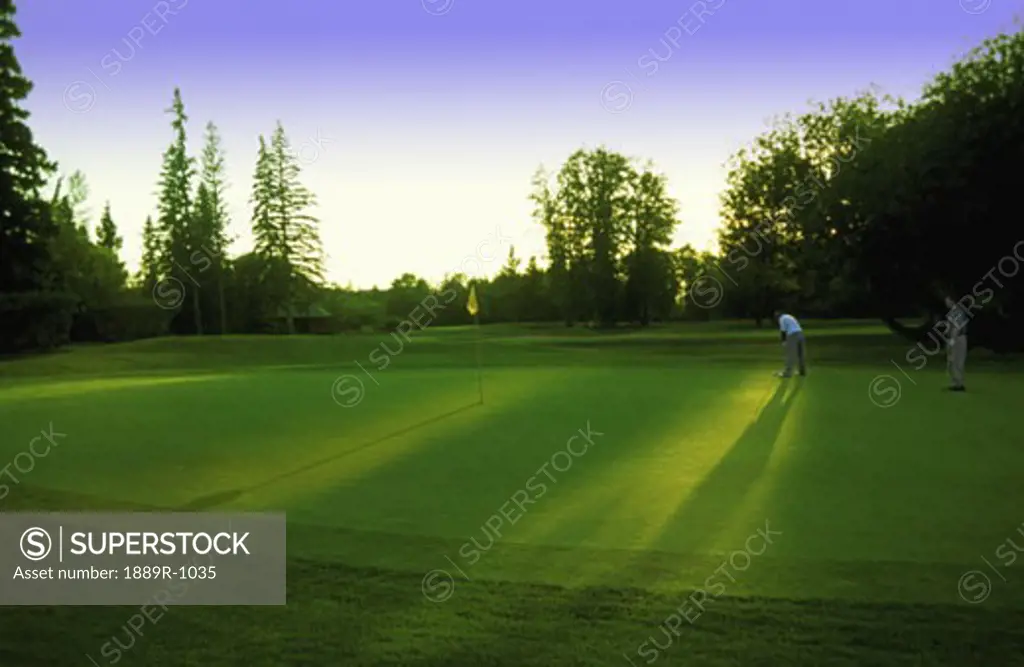 Golfer putting on green