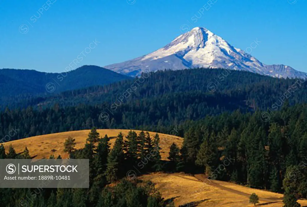 View of Mount Hood, Mount Hood National Forest