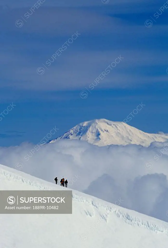Mountain climbers, Mount Adams in background