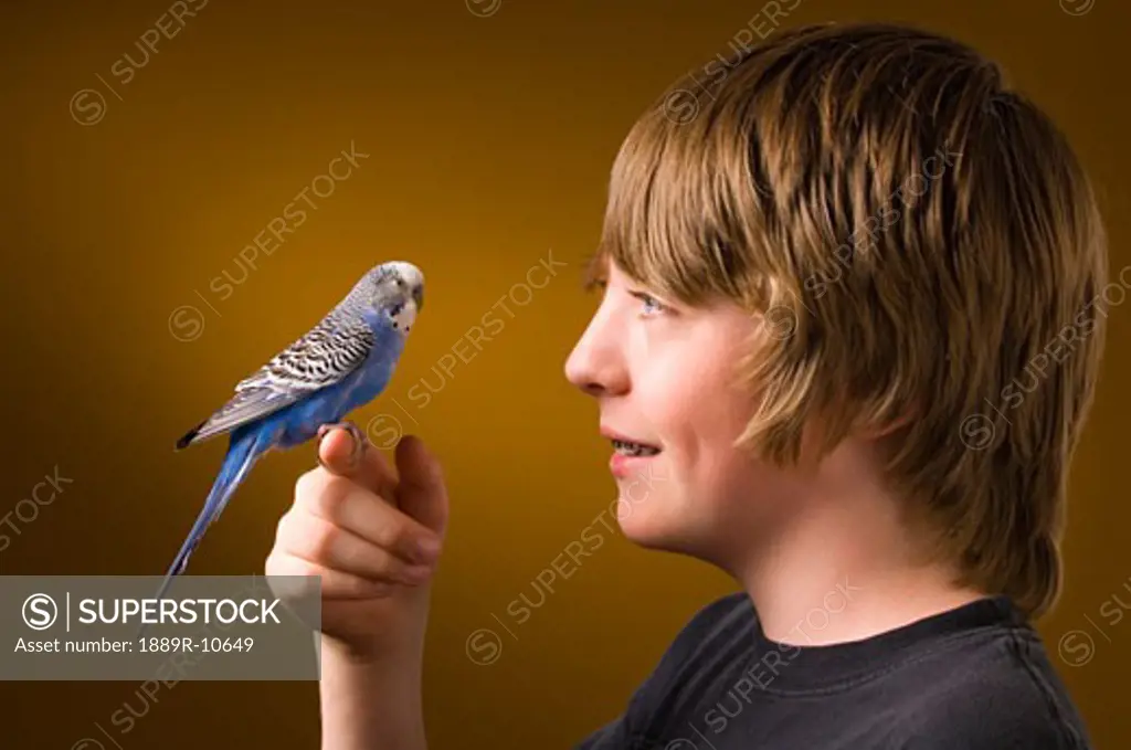 Boy with pet Budgie