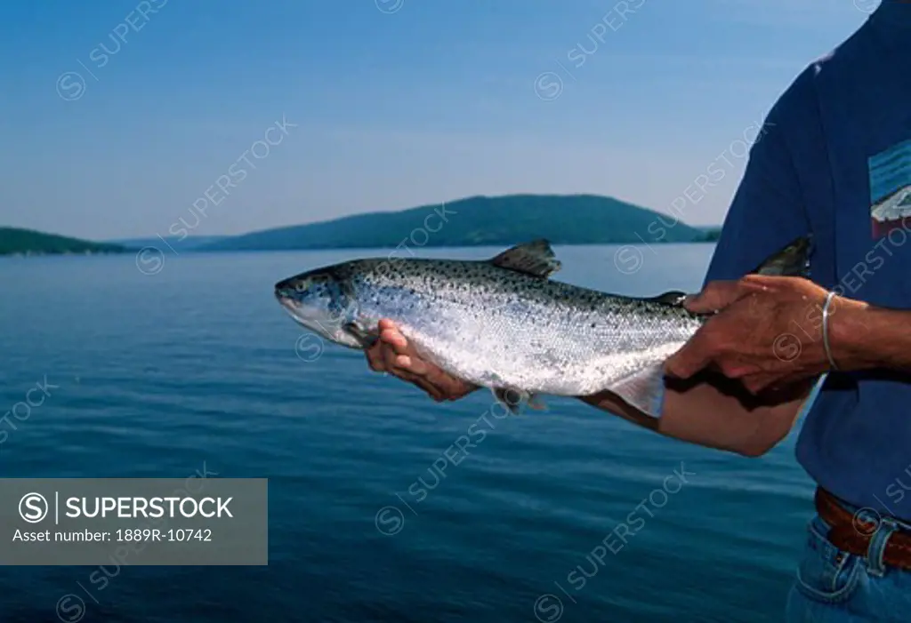 Fisherman holding an Atlantic salmon