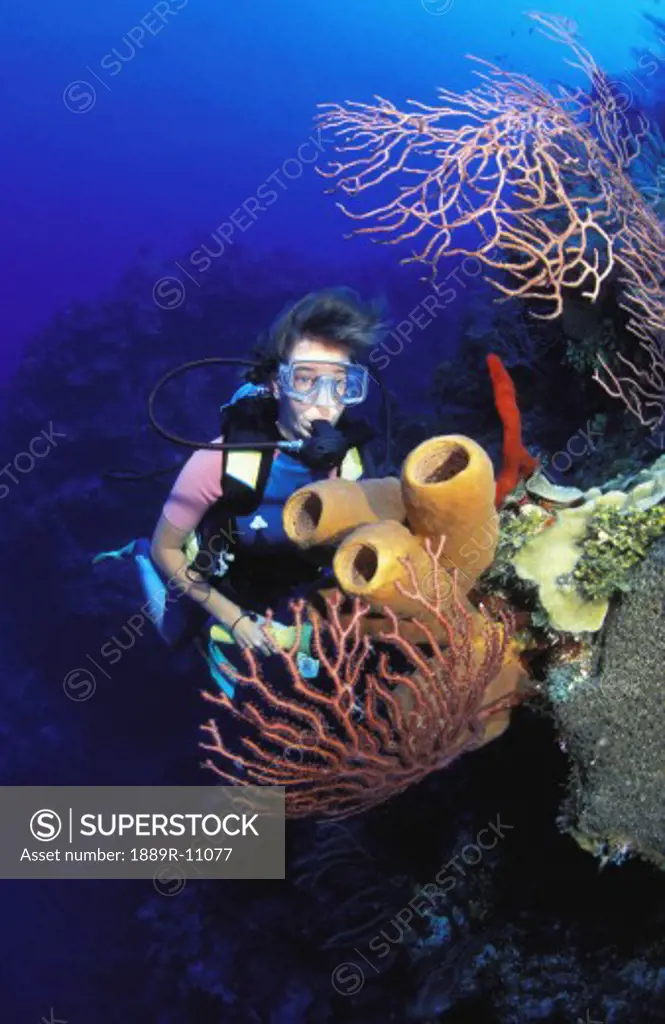 Scuba diver examining coral formation