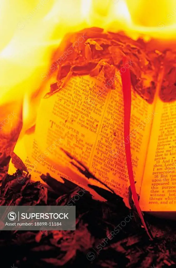 Book burning