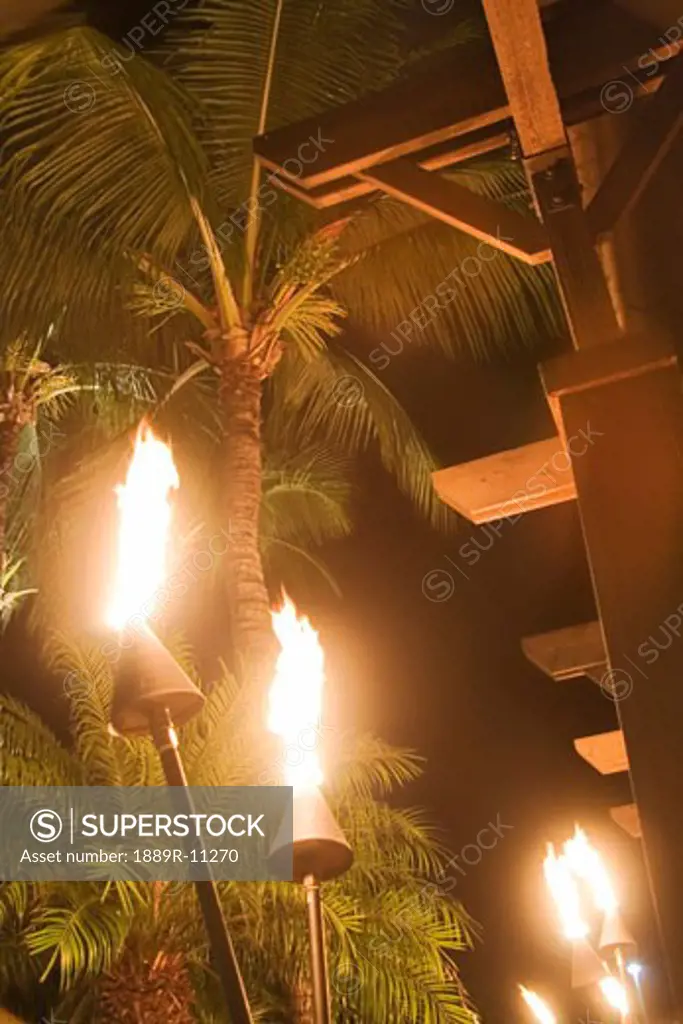 Torches with palm trees