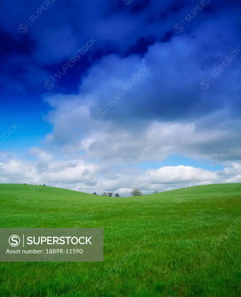 Green meadow in Co Westmeath, Ireland