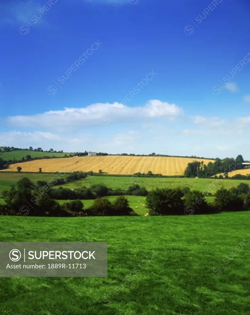 Farmscapes, Bunclody, Co Wexford, Ireland