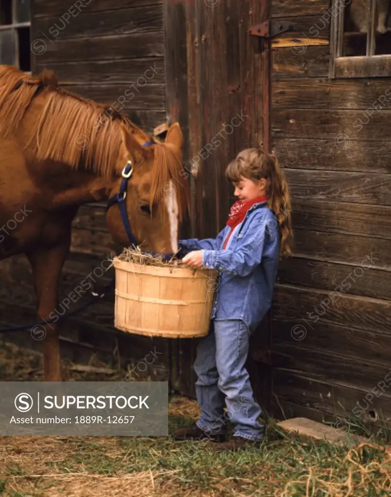 Girl feeding a horse