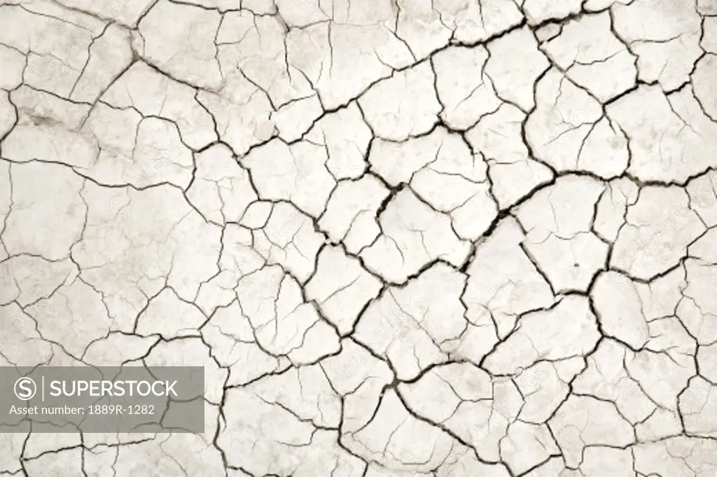Cracked dried earth