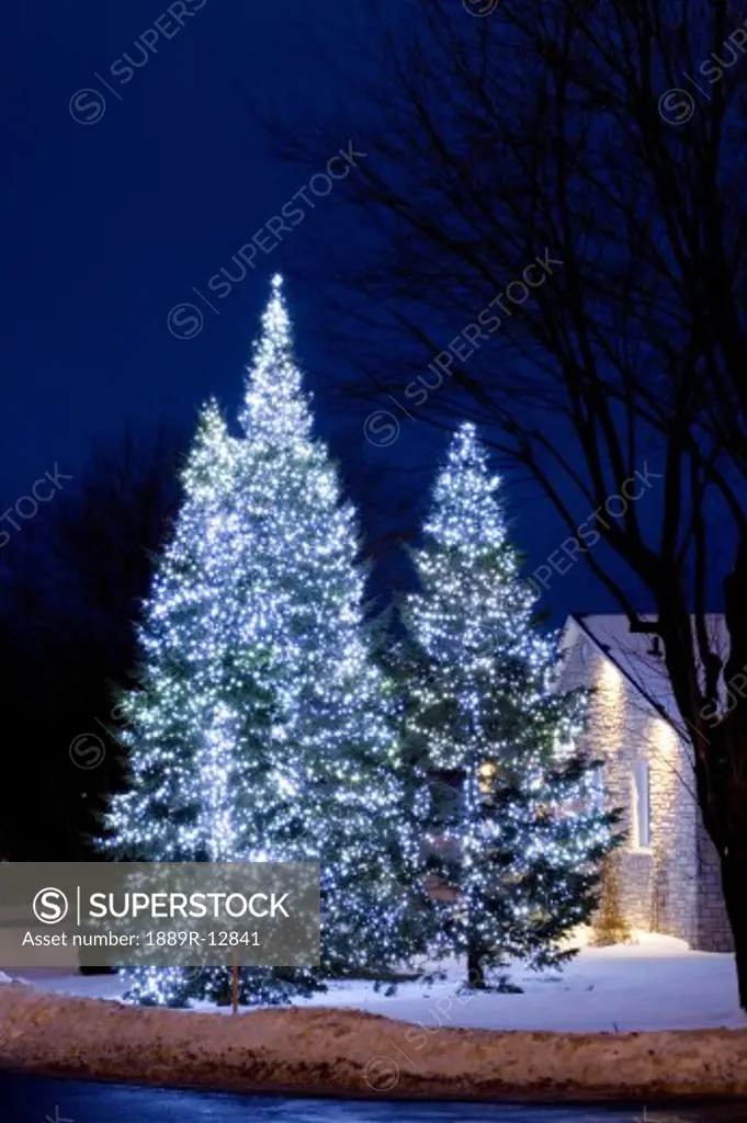 Christmas lights on trees outside