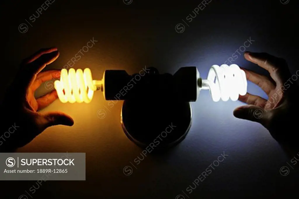 Hands near energy efficient light bulbs