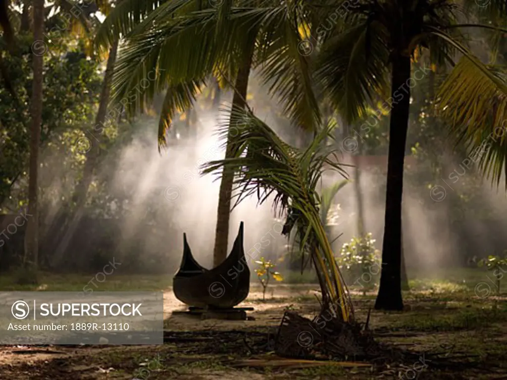 Canoe under palm trees in Kerala, India  