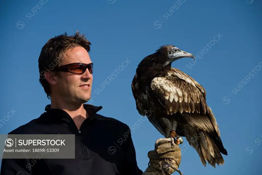 Man with an Egyptian vulture (Neophron percnopterus)