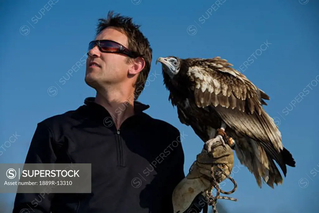 An Egyptian vulture (Neophron percnopterus)and a falconer