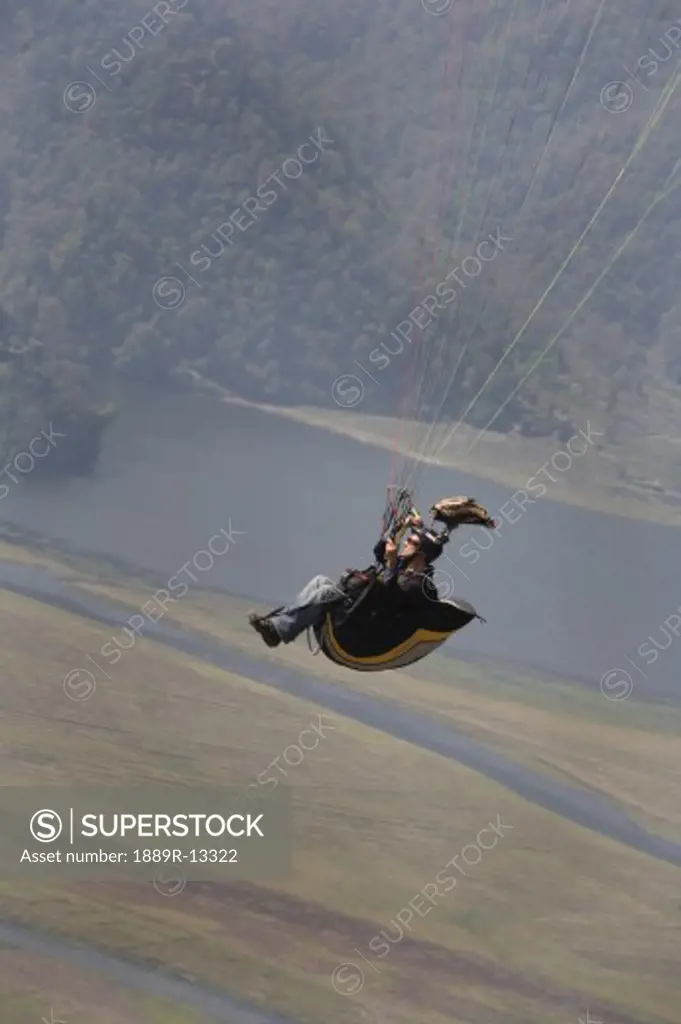 A male falconer flying a paraglider with his Egyptian vulture (Neophron percnopterus)