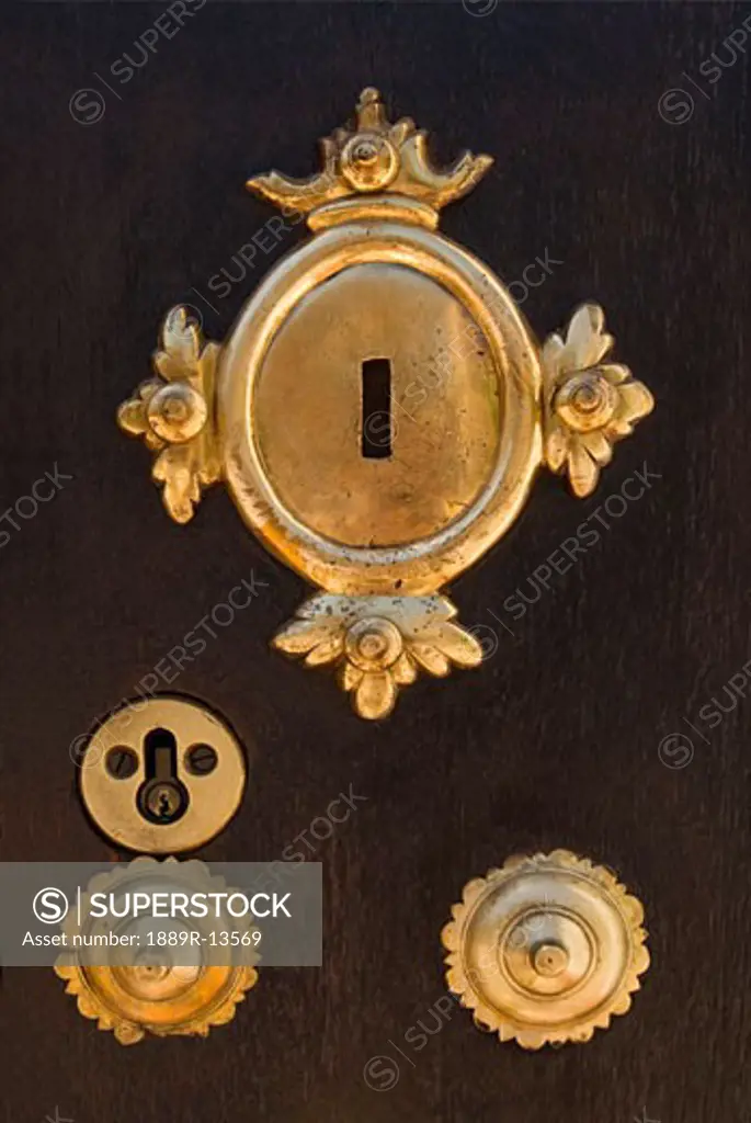 Brass key plates on wooden door  